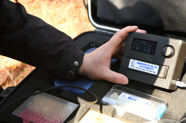 전남산림연구원, 소나무재선충병 감염 1시간 내 확인