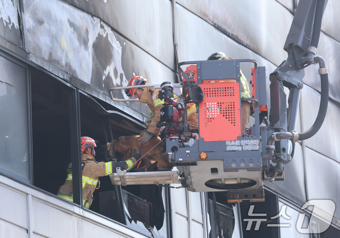 (대전=뉴스1) 김기태 기자 = 21일 대형 화재로 인명피해가 발생한 대전 대덕구 자동차 부품 제조 공장에서 실종자를 수색하기 위해 구조견이 투입되고 있다. 2026.3.21/뉴스 …