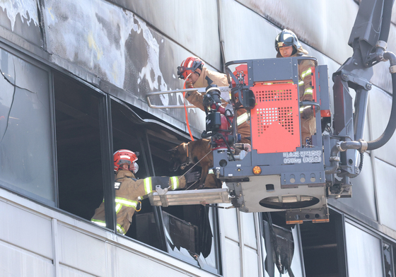 실종자 수색 위해 구조견 투입