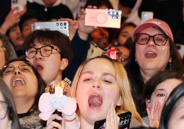 BTS 공연에 환호하는 아미들