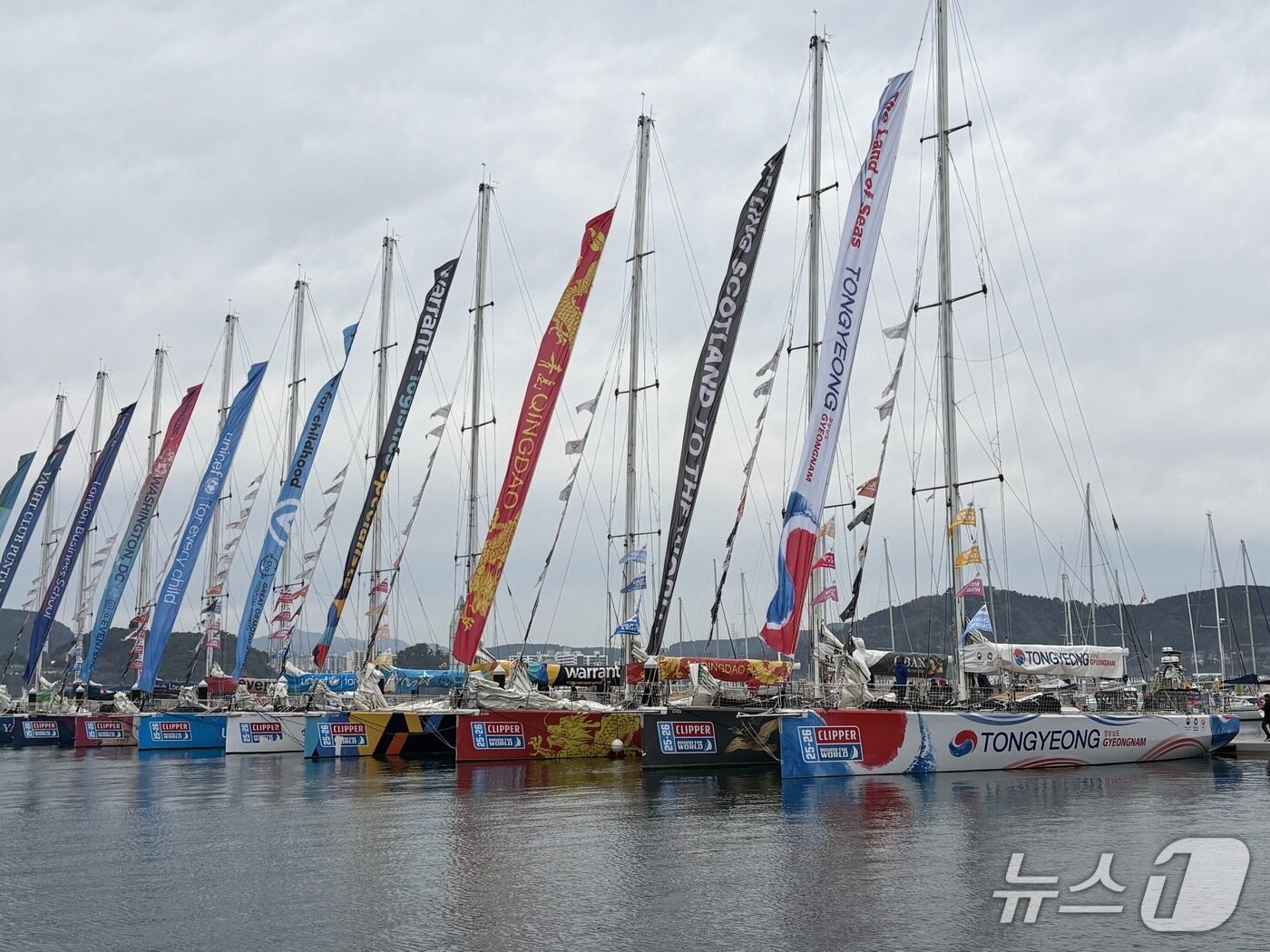 본문 이미지 - 도남항에 계류한 선수단 요트들.2026.03.22/뉴스1 강미영기자