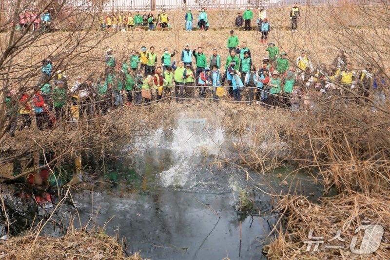 본문 이미지 - 강원 인제군 26개 단체 회원들이 22일 세계 물의 날을 맞아 인제 앞강에서 대규모 환경 정화 활동을 펼쳤다.(인제군 제공. 재판매 및 DB금지)/뉴스1