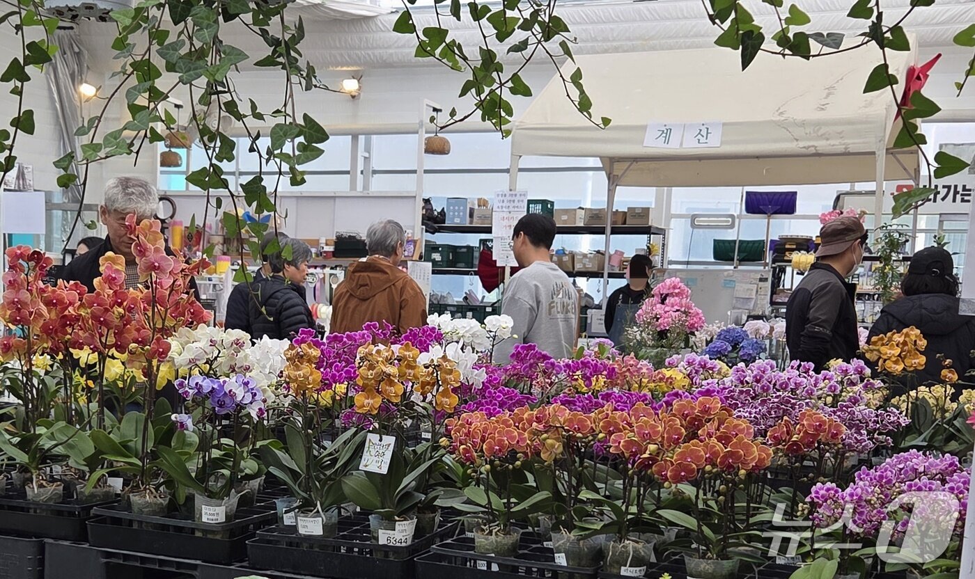 본문 이미지 - 22일 낮 12시께 전북 전주시 완산구의 한 화훼단지에 방문객들이 모여 식물을 고르고 있다.2026.3.22/뉴스1 문채연 기자