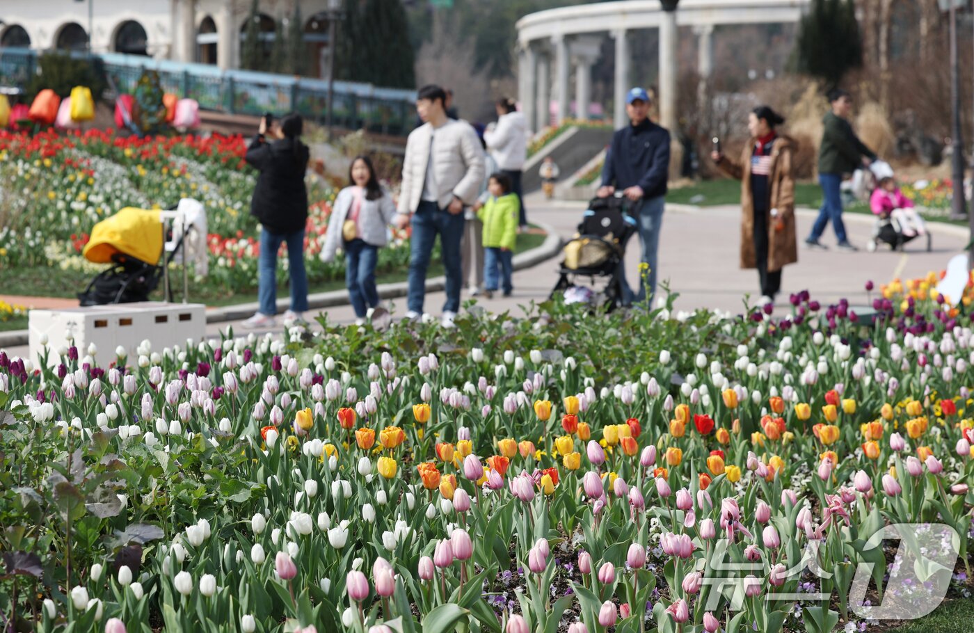 본문 이미지 - 22일 경기 용인시 처인구 에버랜드 포시즌스가든을 찾은 아이들이 튤립 사이에서 추억을 남기고 있다.  2026.3.22 ⓒ 뉴스1 김영운 기자