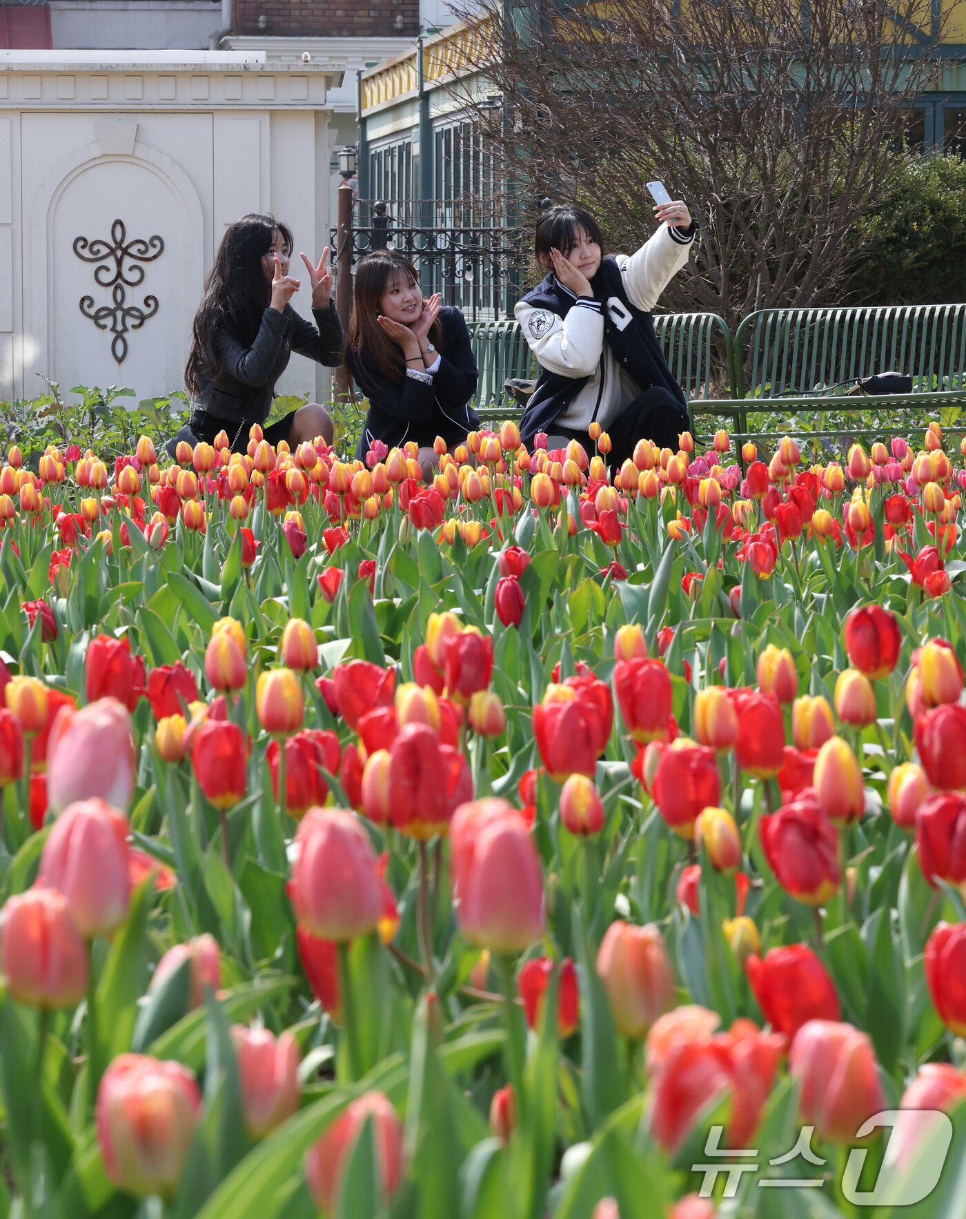 본문 이미지 - 22일 경기 용인시 처인구 에버랜드 포시즌스가든을 찾은 시민들이 튤립 사이에서 추억을 남기고 있다.  2026.3.22 ⓒ 뉴스1 김영운 기자
