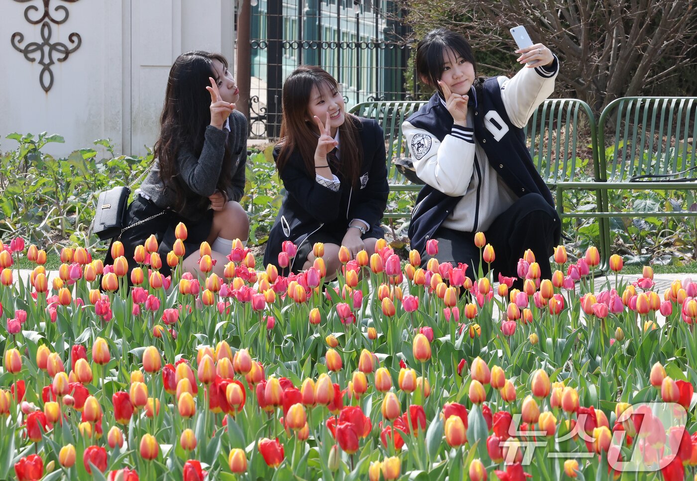 본문 이미지 - 22일 경기 용인시 처인구 에버랜드 포시즌스가든을 찾은 시민들이 튤립 사이에서 추억을 남기고 있다. 2026.3.22 ⓒ 뉴스1 김영운 기자