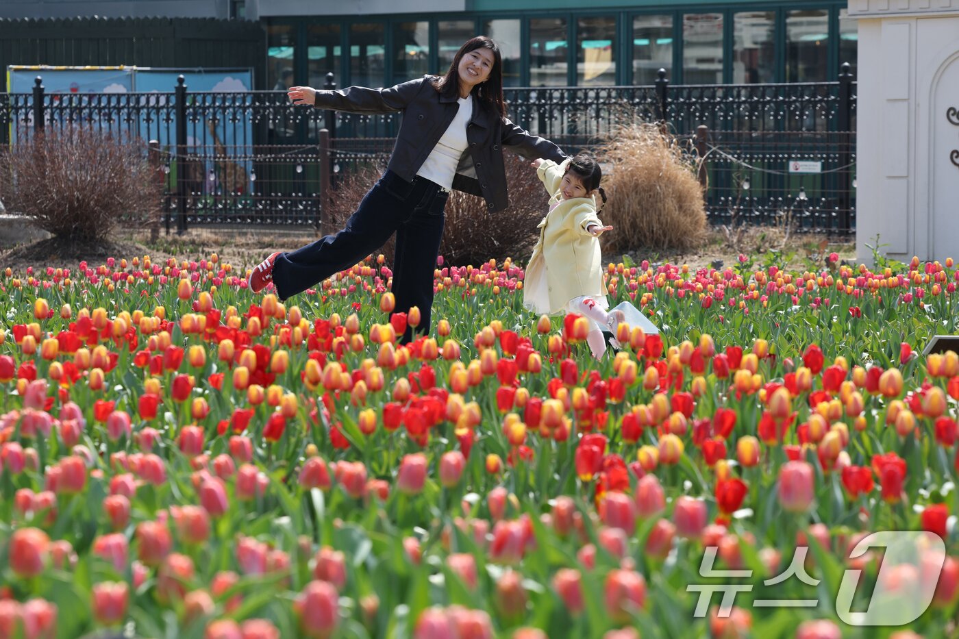 본문 이미지 - 22일 경기 용인시 처인구 에버랜드 포시즌스가든을 찾은 시민들이 튤립 사이에서 추억을 남기고 있다.  2026.3.22 ⓒ 뉴스1 김영운 기자