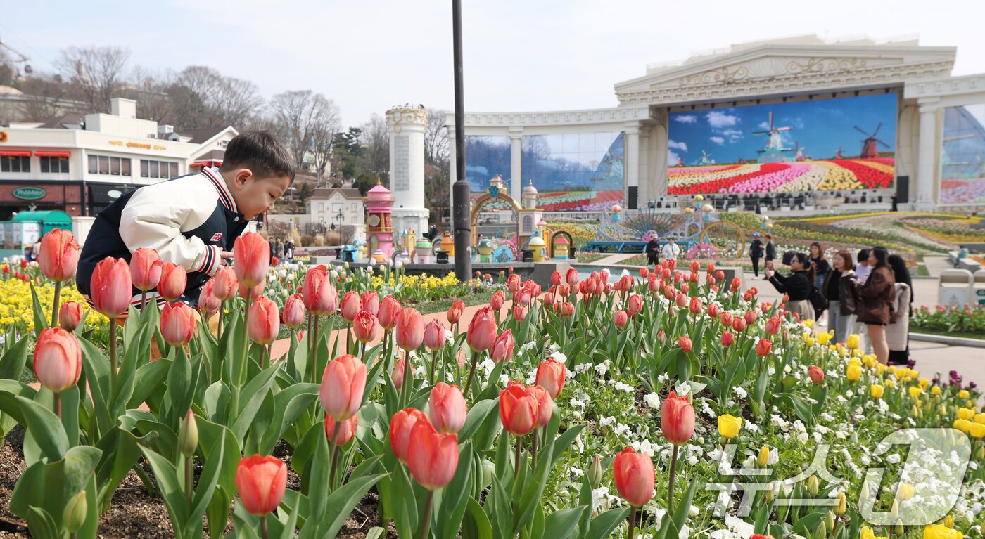 본문 이미지 - 22일 경기 용인시 처인구 에버랜드 포시즌스가든을 찾은 시민들이 튤립 사이에서 추억을 남기고 있다.  2026.3.22 ⓒ 뉴스1 김영운 기자