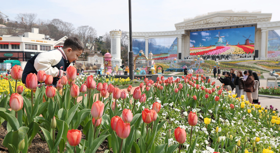 '튤립 구경하러 오세요'