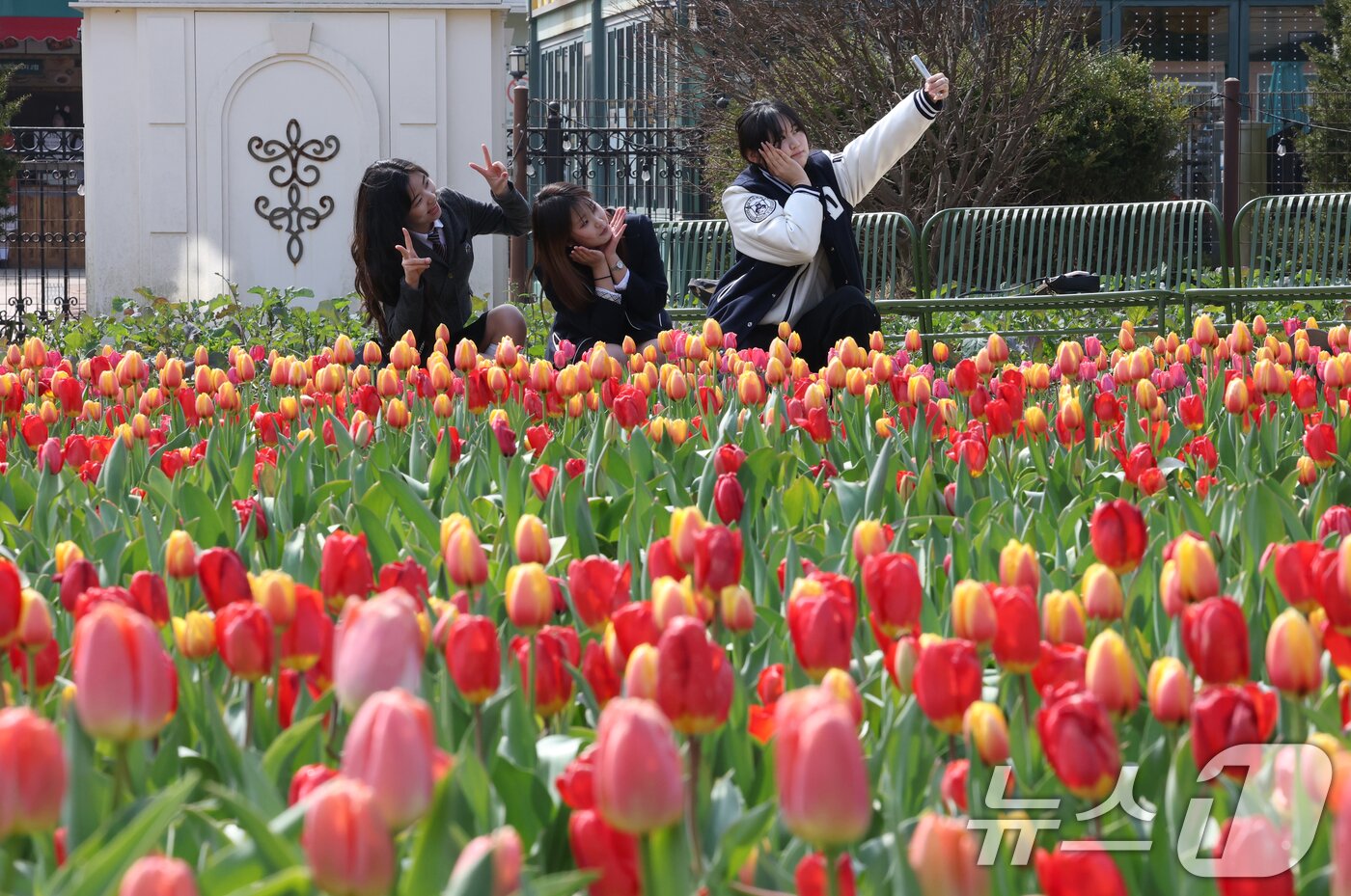 본문 이미지 - 지난 3월 경기 용인시 처인구 에버랜드 포시즌스가든을 찾은 시민들의 모습. 2026.3.22 ⓒ 뉴스1 김영운 기자