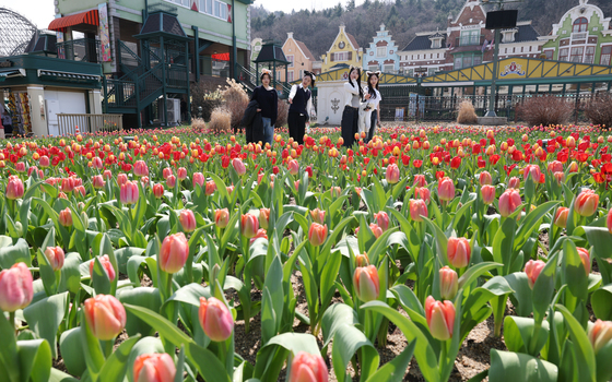 '튤립 구경하러 오세요'