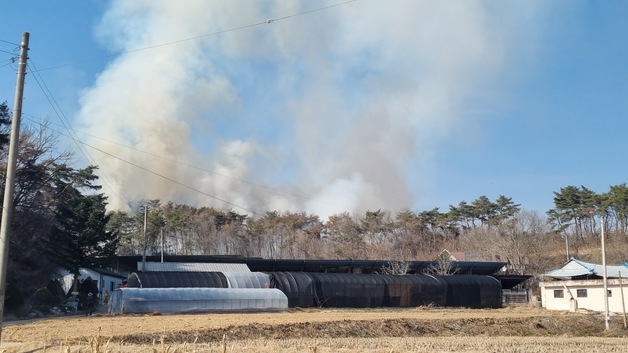 경북 안동 와룡면 가구리 마을야산 산불 45분만에 주불 진화