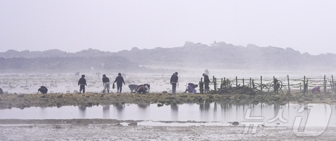 (보령=뉴스1) 김기태 기자 = 22일 '2026 무창포 주꾸미·도다리 축제'가 열리는 보령 무창포해수욕장 일원 '신비의 바닷길'이 체험객들로 붐비고 있다. 이 축제는 지난 20일 …