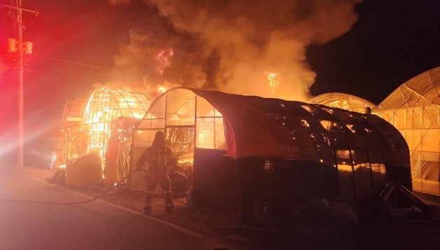 성주 포도 비닐하우스에 불…80대 남성 자체 진화 중 경상