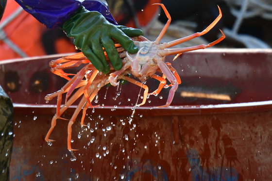 [오늘의 날씨]대구·경북(26일,목)…맑고 건조, 낮 최고 16~23도