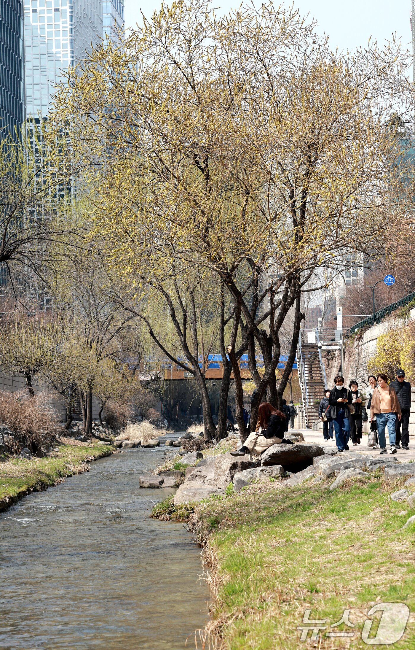 본문 이미지 - 완연한 봄 날씨를 보인 23일 서울 종로구 청계천을 찾은 시민들이 산책을 하고 있다. 2026.3.23 ⓒ 뉴스1 이호윤 기자