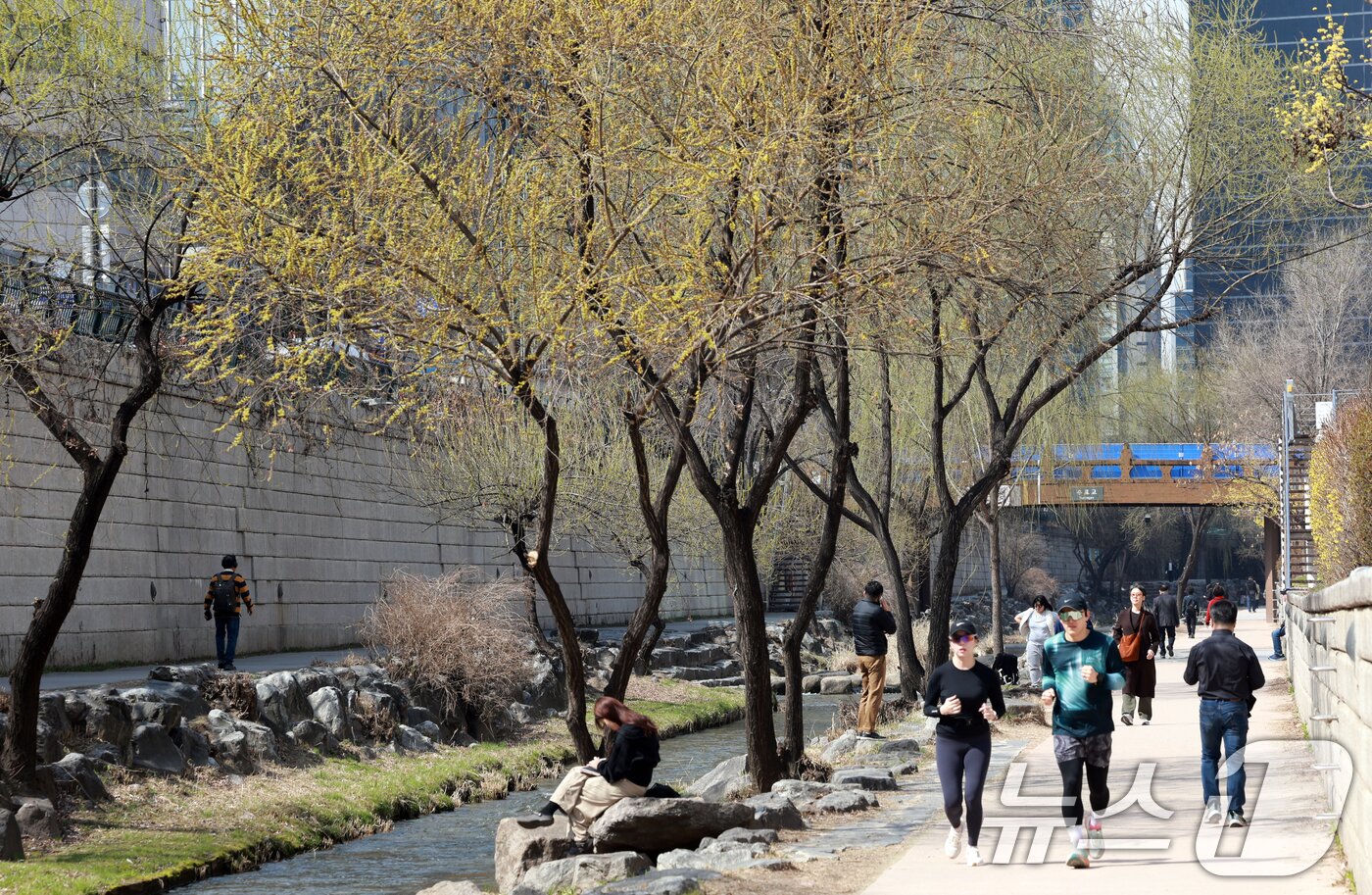 본문 이미지 - 완연한 봄 날씨를 보인 23일 서울 종로구 청계천을 찾은 시민들이 산책을 하고 있다. 2026.3.23 ⓒ 뉴스1 이호윤 기자