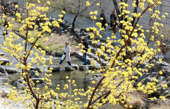 [뉴스1 PICK]'낮 최고 기온 21도'…전국 대체로 맑고 큰 일교차