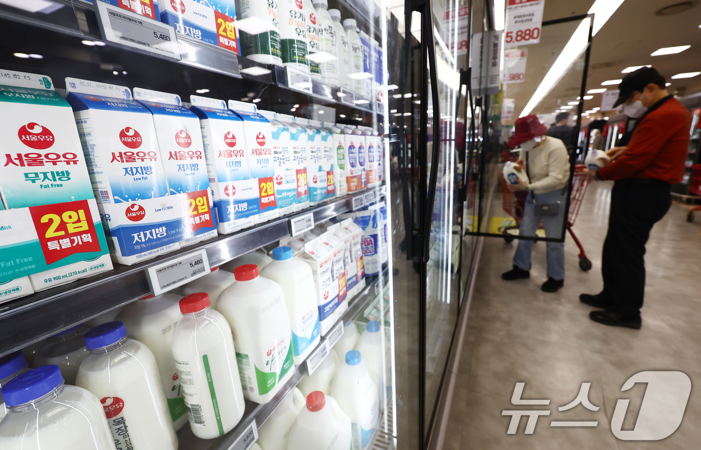 (서울=뉴스1) 김민지 기자 = 지난해 국내 1인당 흰 우유 소비량이 40여년 만에 최저수준으로 줄었다.23일 낙농진흥회에 따르면 지난해 1인당 흰 우유 소비량은 22.9㎏으로 1 …