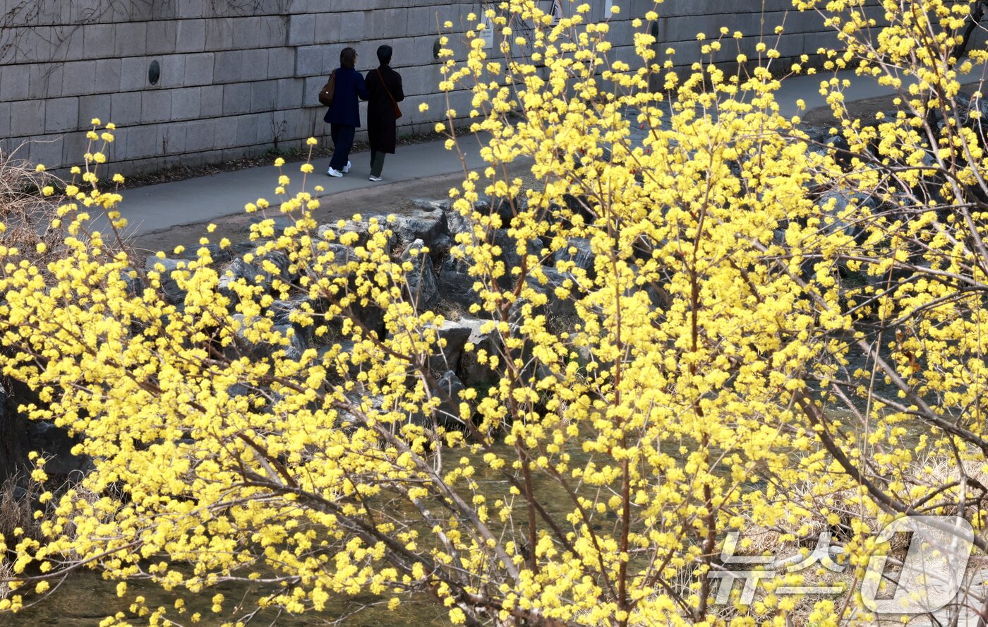 본문 이미지 - 완연한 봄 날씨를 보인 23일 서울 종로구 청계천을 찾은 시민들이 산책을 하고 있다. 2026.3.23 ⓒ 뉴스1 이호윤 기자
