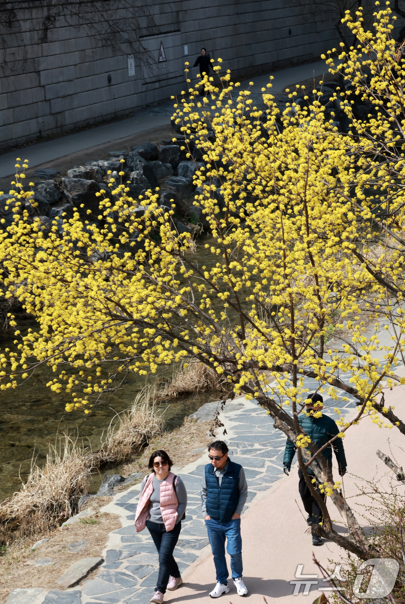 (서울=뉴스1) 이호윤 기자 = 완연한 봄 날씨를 보인 23일 서울 종로구 청계천을 찾은 시민들이 산책을 하고 있다. 2026.3.23/뉴스1