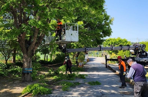 괴산증평교육지원청, 학교 시설관리 통합지원 사업 추진