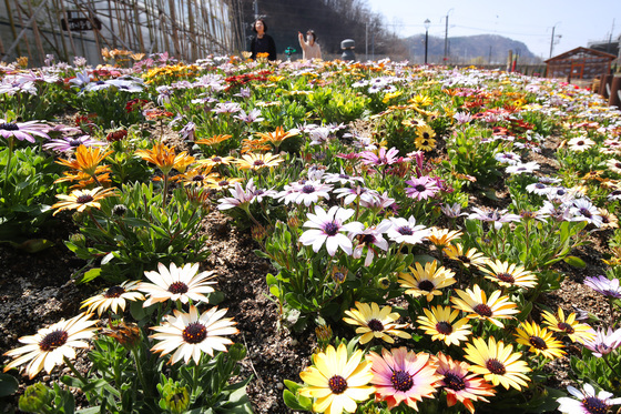 [오늘의 날씨]대구·경북(24일,화)…대기 건조, 일교차 20도