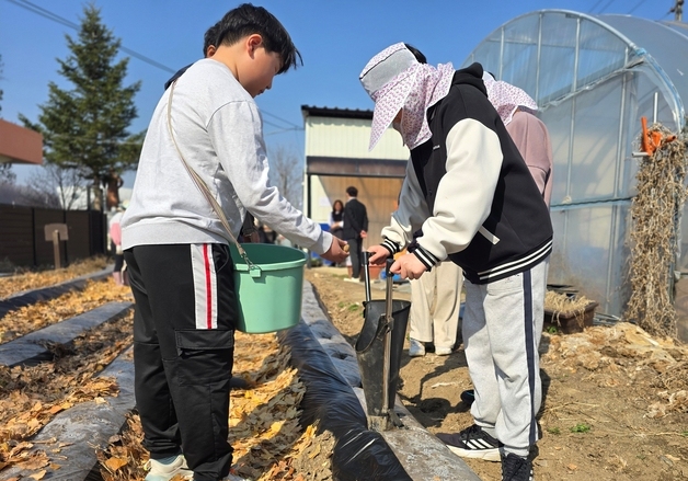 괴산 감물초, 학교 환경교육 '어린 농부의 산책' 텃밭 프로젝트 운영