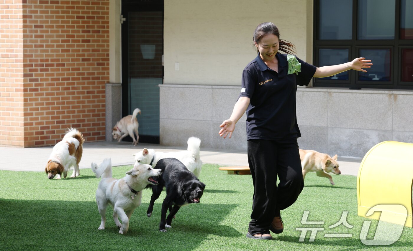 본문 이미지 - 국제 강아지의 날인 23일 경기 여주시 반려마루 여주에서 보호동물들이 직원들과 즐거운 시간을 보내고 있다. 2026.3.23 ⓒ 뉴스1 김영운 기자