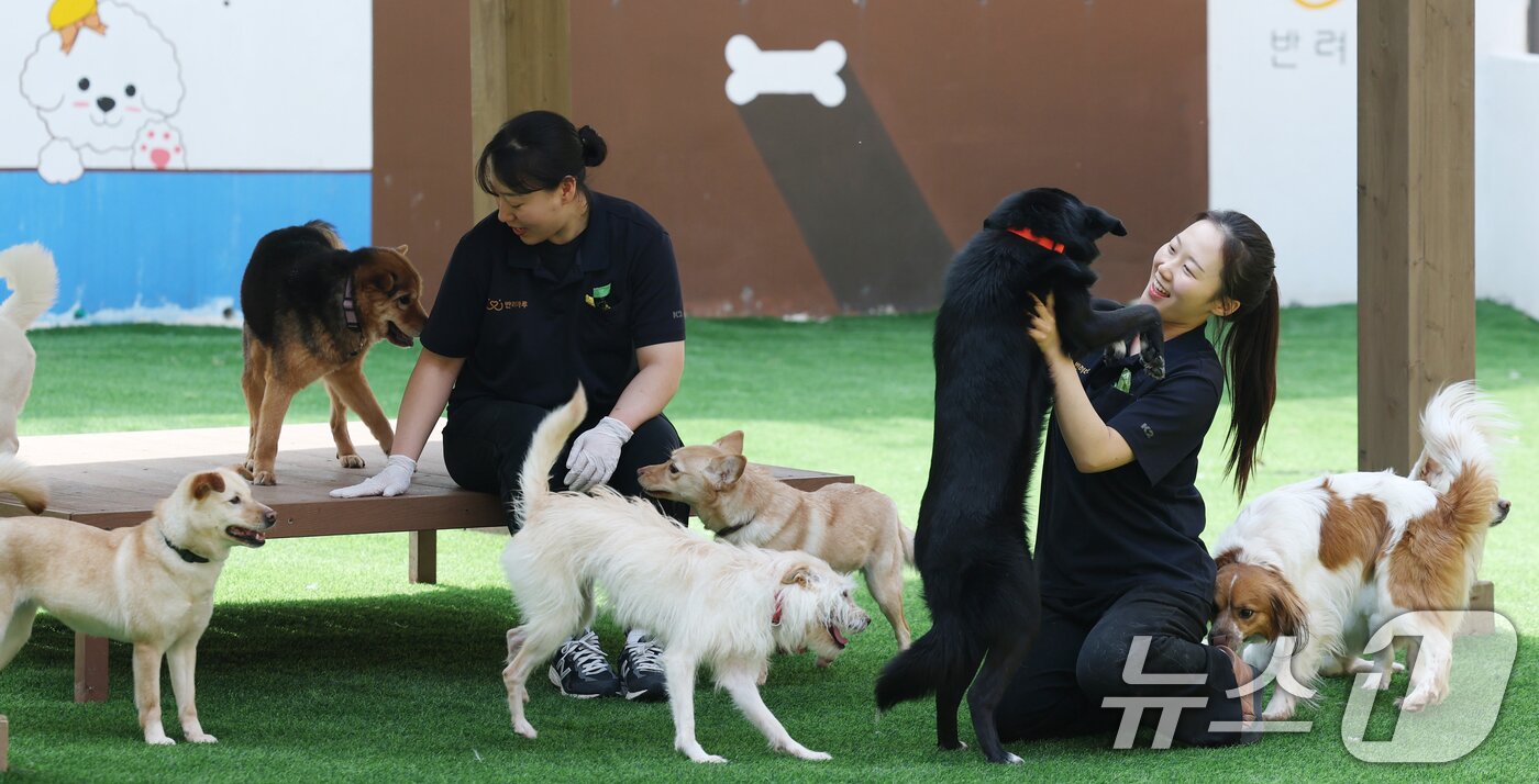 본문 이미지 - 국제 강아지의 날인 23일 경기 여주시 반려마루 여주에서 보호동물들이 직원들과 즐거운 시간을 보내고 있다. 2026.3.23 ⓒ 뉴스1 김영운 기자