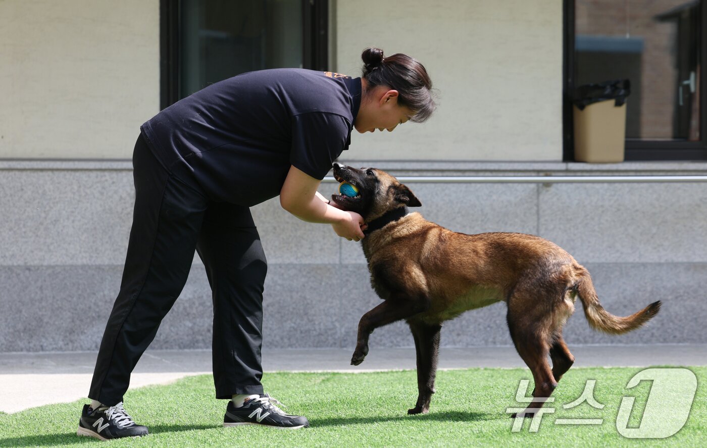 본문 이미지 - 국제 강아지의 날인 23일 경기 여주시 반려마루 여주에서 보호동물들이 직원들과 즐거운 시간을 보내고 있다. 2026.3.23 ⓒ 뉴스1 김영운 기자