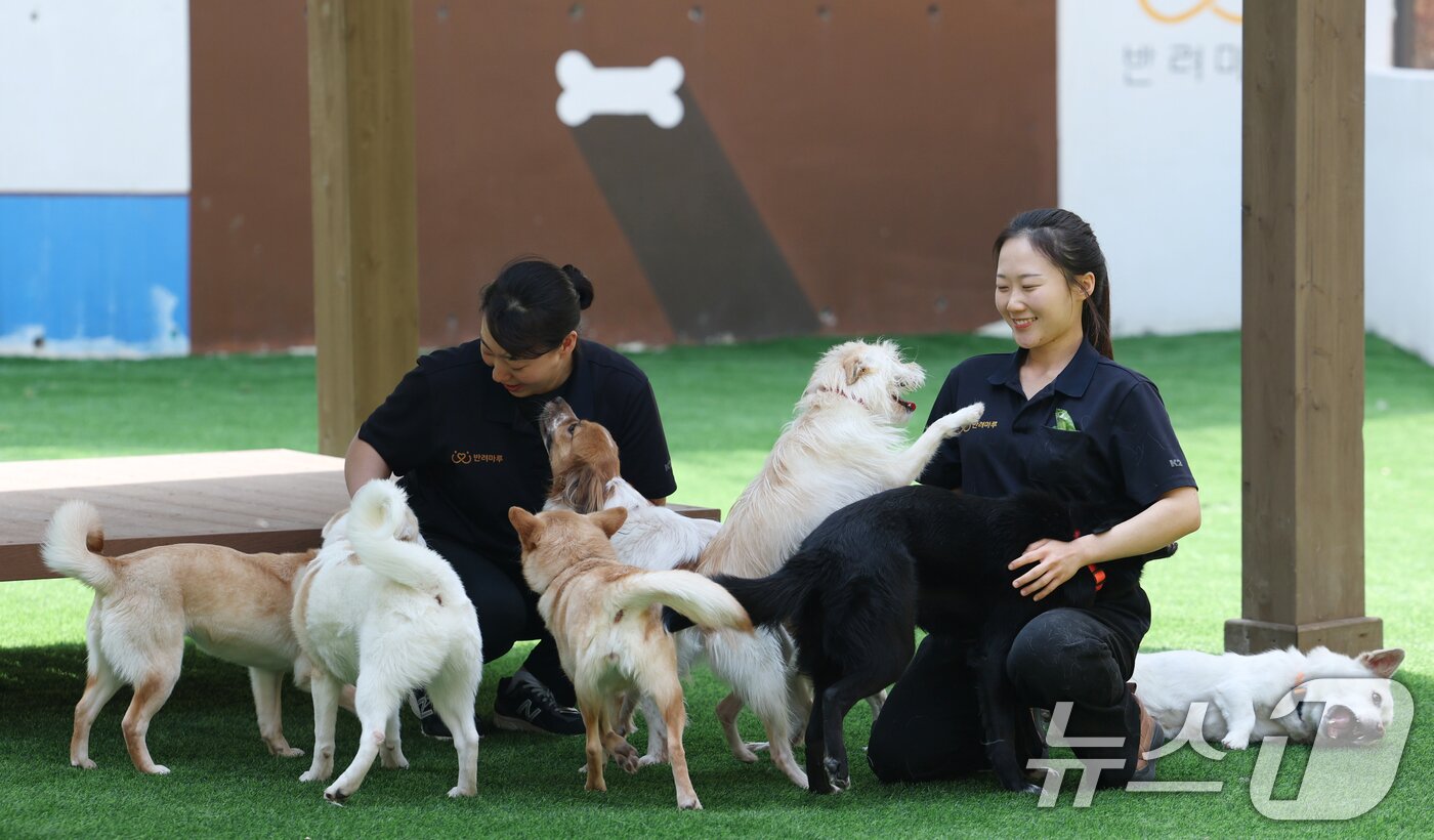 본문 이미지 - 국제 강아지의 날인 23일 경기 여주시 반려마루 여주에서 보호동물들이 직원들과 즐거운 시간을 보내고 있다. 2026.3.23 ⓒ 뉴스1 김영운 기자