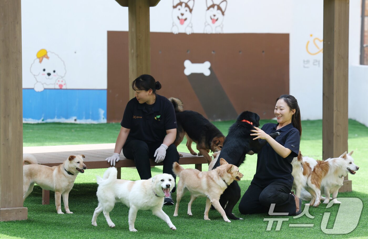 본문 이미지 - 국제 강아지의 날인 23일 경기 여주시 반려마루 여주에서 보호동물들이 직원들과 즐거운 시간을 보내고 있다. 2026.3.23 ⓒ 뉴스1 김영운 기자