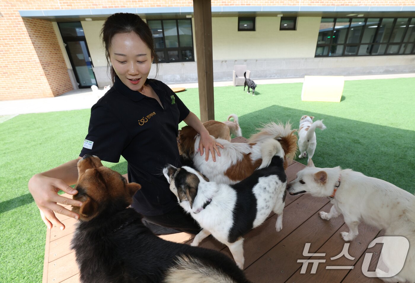본문 이미지 - 국제 강아지의 날인 23일 경기 여주시 반려마루 여주에서 보호동물들이 직원들과 즐거운 시간을 보내고 있다. 2026.3.23 ⓒ 뉴스1 김영운 기자