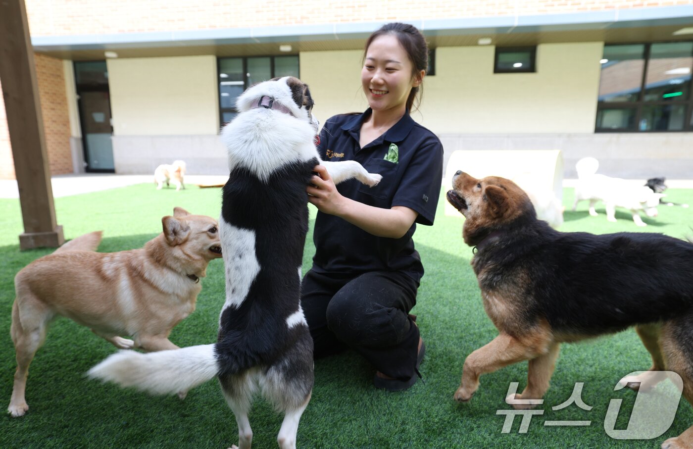 본문 이미지 - 국제 강아지의 날인 23일 경기 여주시 반려마루 여주에서 보호동물들이 직원들과 즐거운 시간을 보내고 있다. 2026.3.23 ⓒ 뉴스1 김영운 기자
