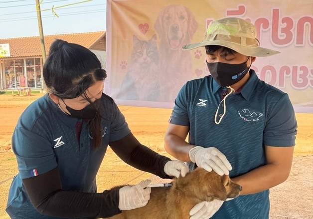 국경없는 수의사회 라오스지부, '광견병 제로 프로젝트' 진행