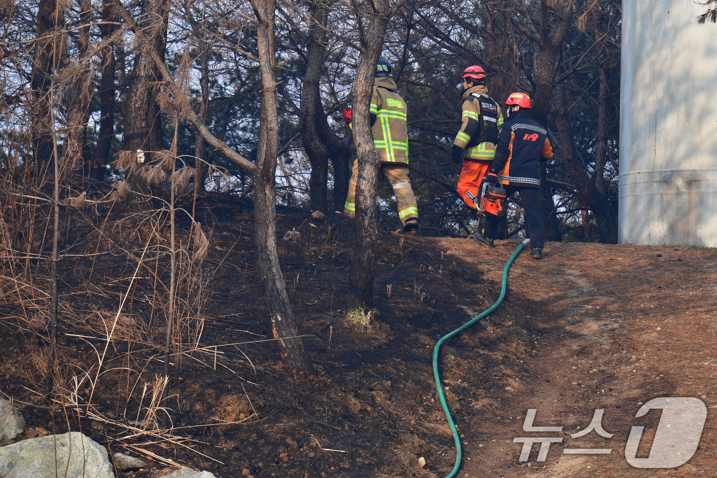 (영덕=뉴스1) 최창호 기자 = 경북 영덕군 창포리 풍력발전기 화재 사고 이틀째인 24일 오전 소방당국이 발전기 블레이드에 남아있는 불을 진화하고 있다.소방당국은 블레이드 3개 중 …