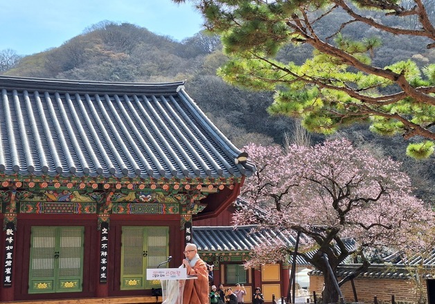 전남도, 천년사찰 세계명상관광 사업 대상지 5곳 선정