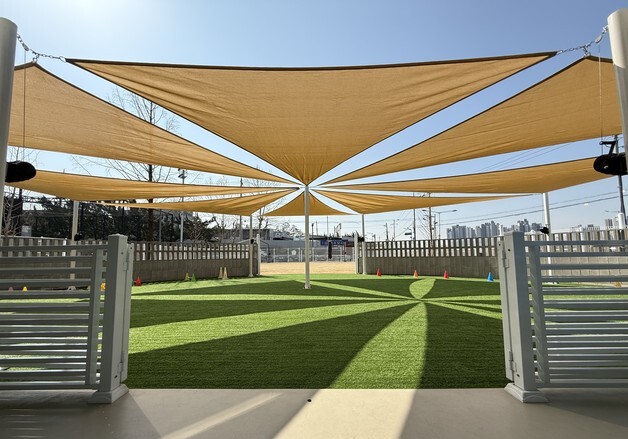 대전 중구, 반려견 에너지파크 새단장…'혹서기 야간 개장' 도입