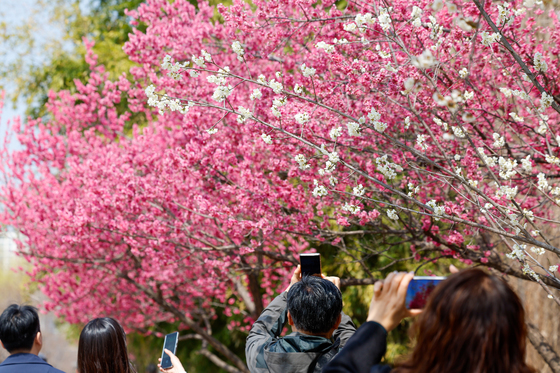 '이건 찍어야지'