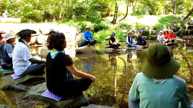 합천 오도산 치유의 숲 '2026 우수웰니스 관광지' 재지정