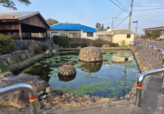 제주시 습지 8곳·용천수 12곳 '제주다움' 되살린다