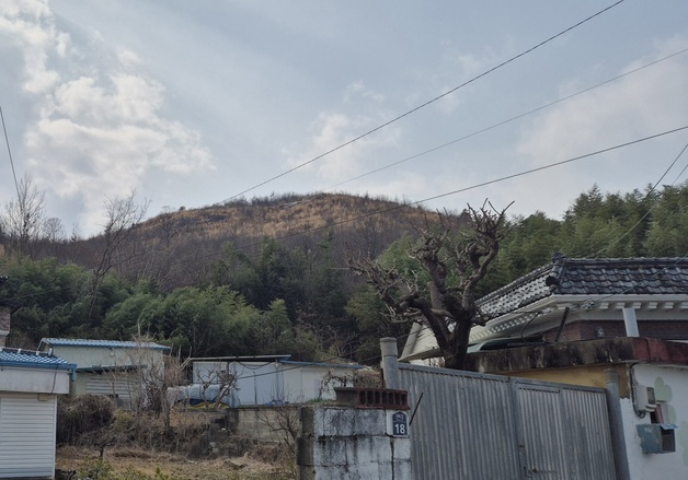 "방화수 없이 산속 용접" 71.6㏊ 태운 울주군 산불…50대 실형 구형