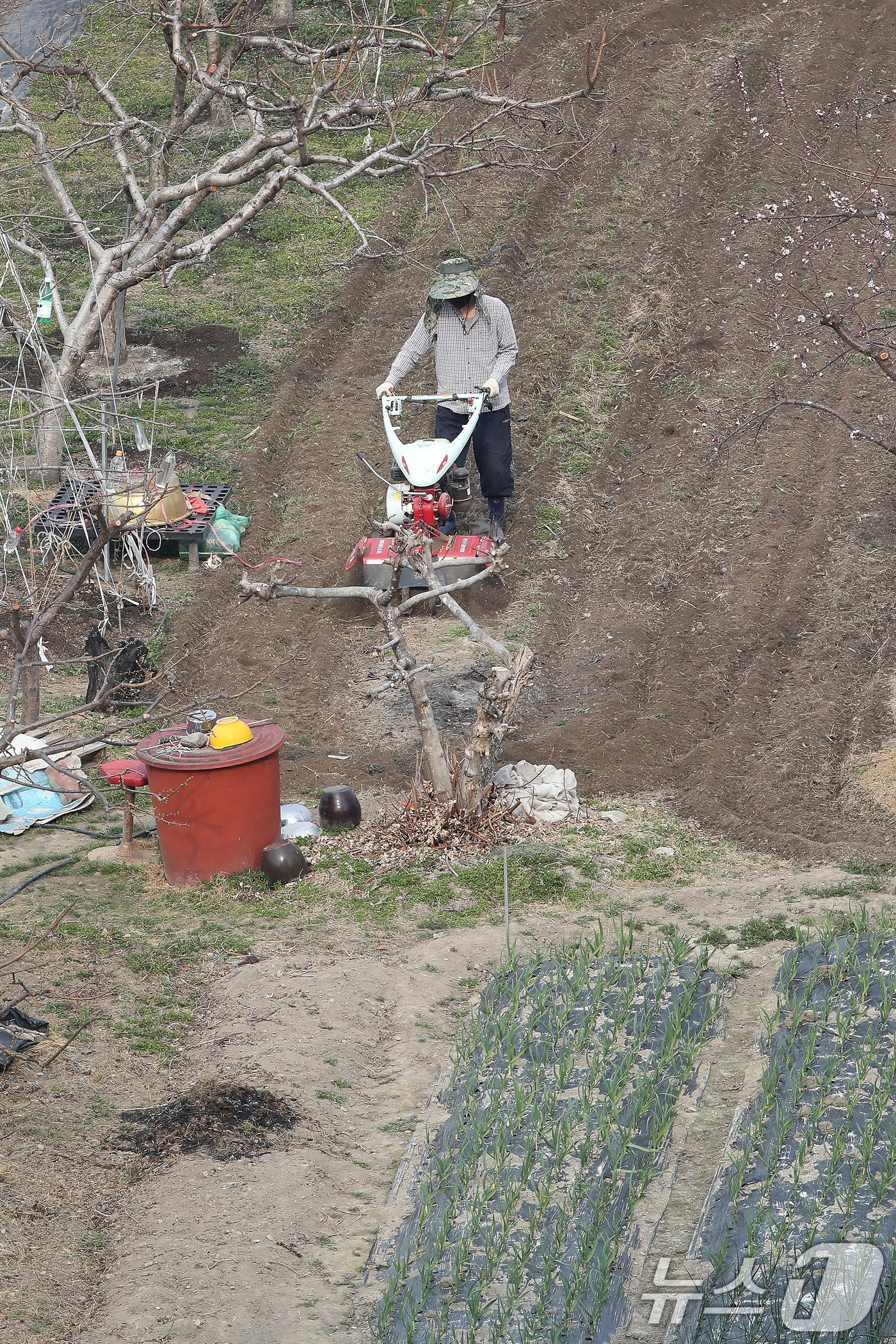 (대구=뉴스1) 공정식 기자 = 대구의 낮 기온이 18도를 넘는 포근한 날씨를 보인 24일 대구 수성구 한 밭에서 봄농사를 준비하는 농부가 부지런히 밭을 갈고 있다. 2026.3. …