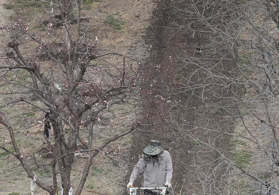 봄농사 준비하는 들녘