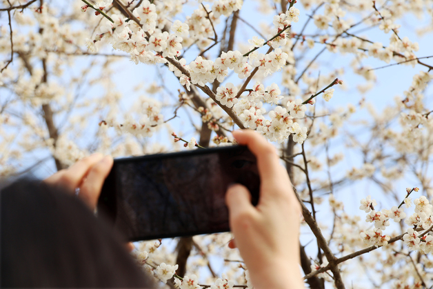 [오늘의 날씨] 경기(25일, 수)…낮 최고 21도 '포근'