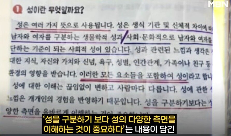 본문 이미지 - MBN