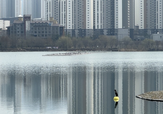[오늘의 날씨] 충북·세종(25일, 수)…낮 기온 20도까지 올라