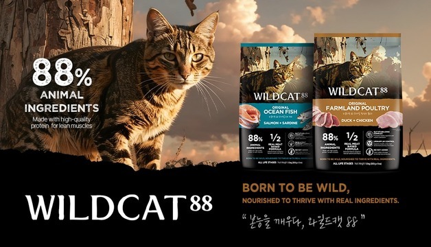 캣푸드 브랜드 '와일드캣88' 출시…"고양이 본능 맞춤형 설계"