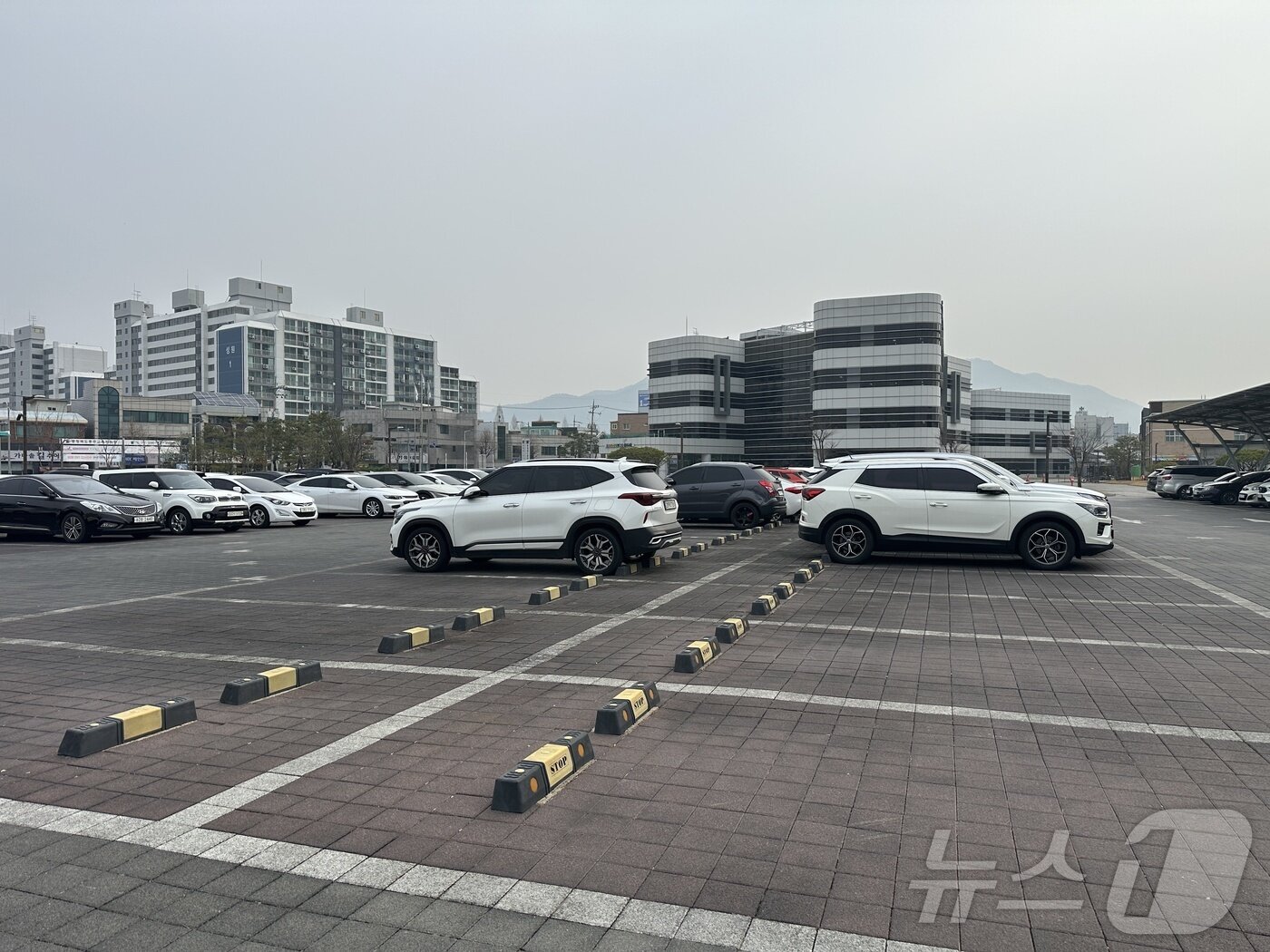 본문 이미지 - 공공기관 차량 5부제 시행 첫날 충주교육지원청 주차장. ⓒ 뉴스1 윤원진 기자